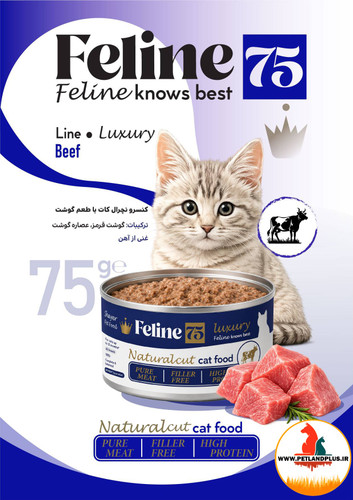 کنسرو گربه فیلاین شایر نچرال 75 گرم کات با ظعم گوشت