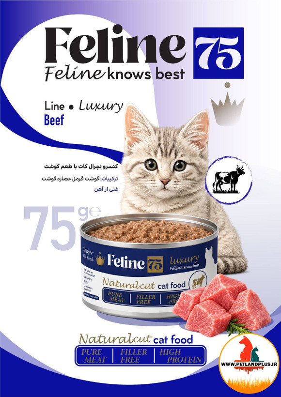کنسرو گربه فیلاین شایر نچرال 75 گرم کات با ظعم گوشت